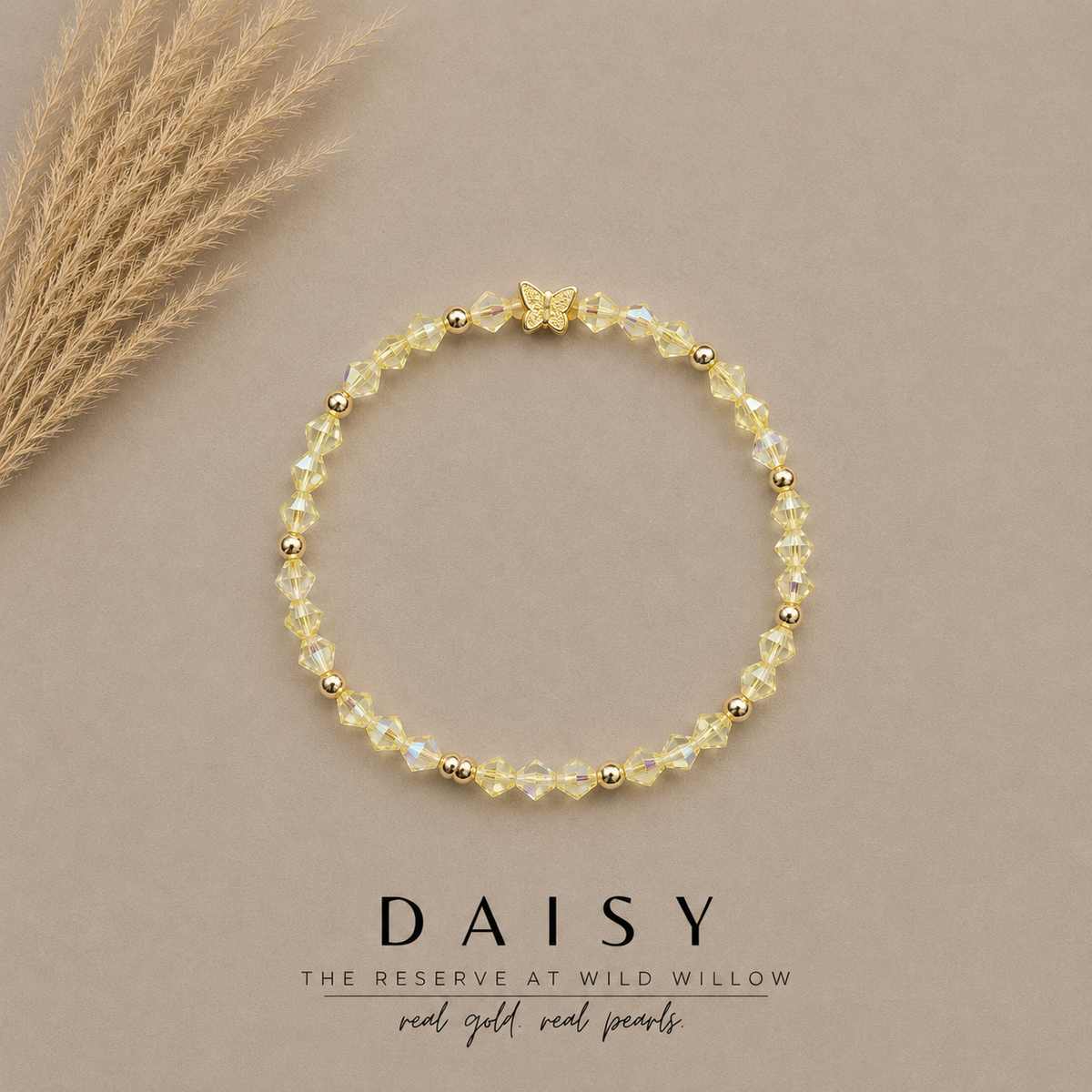 Daisy